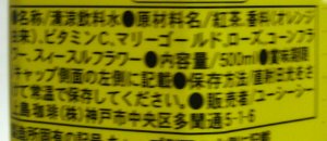 nondemita_20100323_3