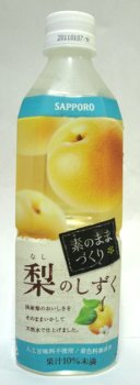 nondemita_20100624_1