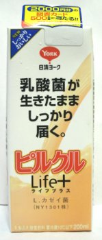 nondemita_20100707_1