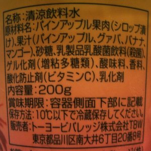 nondemita_20100708_3