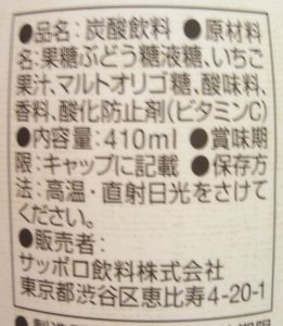 nondemita_20110105_3