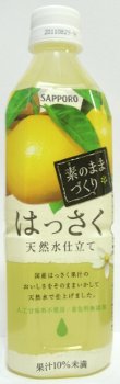nondemita_20110209_1