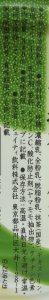 nondemita_20110218_3